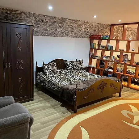 Villa Mill House Cluj-Napoca