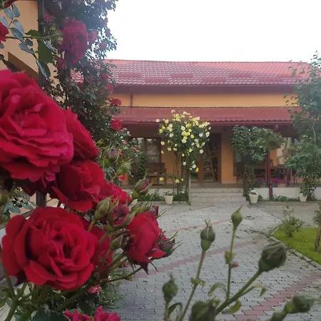 Mill House Villa Cluj-Napoca