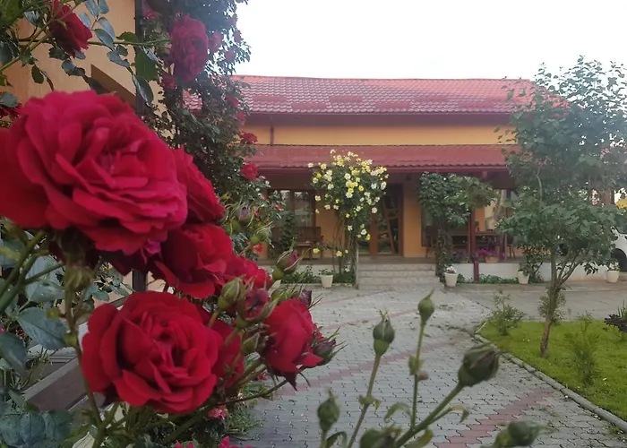 Mill House Villa Cluj-Napoca